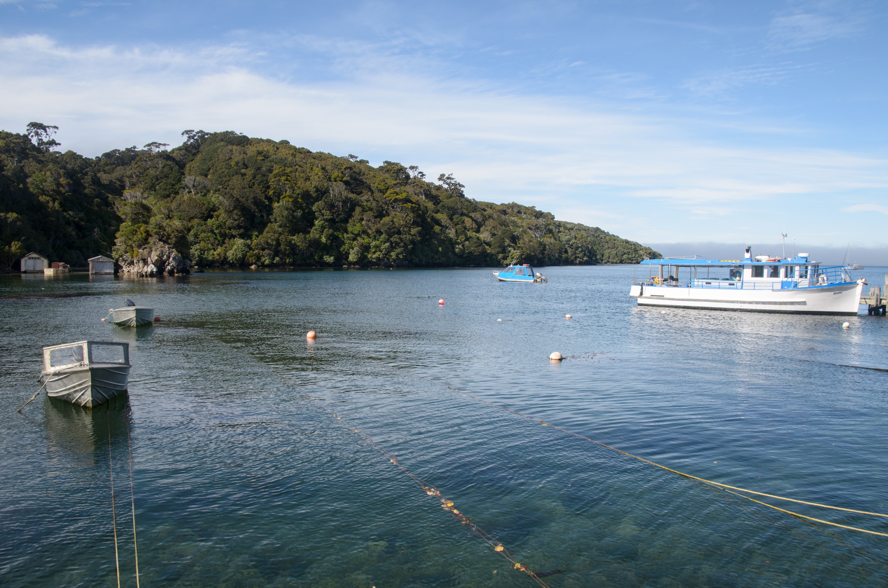 DSC_2577 – Adventure, Crispin, Island, March 2017, National Park, New, New Zealand, Paterson Inlet, Rakiura, South, Stewart, Zealand